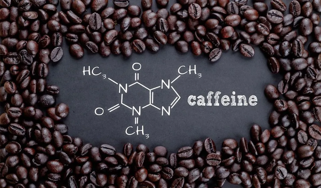 Coffee beans layout highlighting caffeine composition
