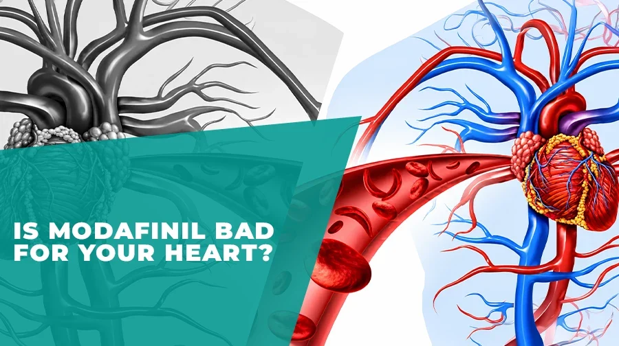 Illustration of heart and blood vessels with Modafinil safety question